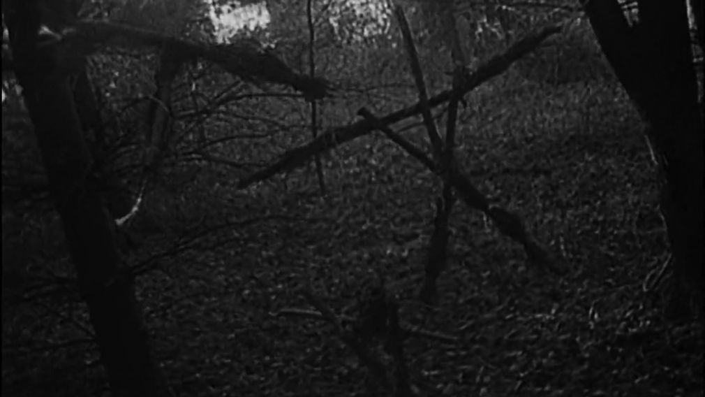 Film Reference The Blair Witch Project — Watch Meet Make 0267